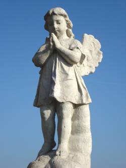 20111017-engel_laufennburg_2344.jpg 20111017-engel_laufennburg_2344.jpg